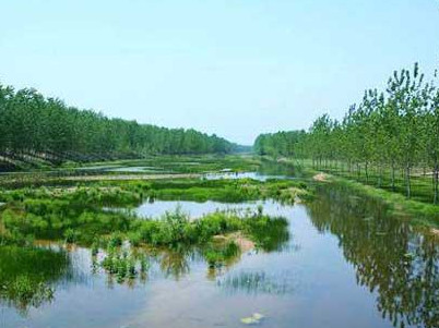商丘森林公園拓展基地